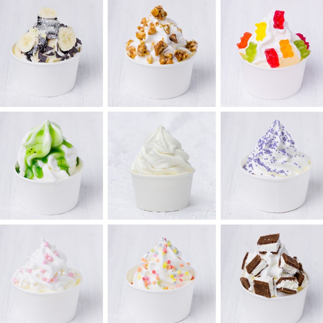 Plain Tart Frozen Yogurt Pre Mix One Box (12kg/26.45Lbs) image 7