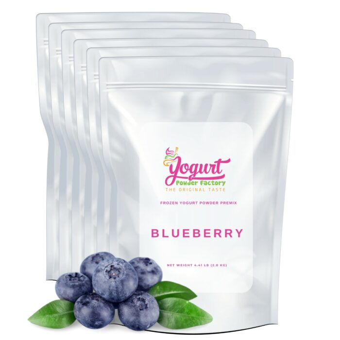 Blueberry Frozen Yogurt Pre Mix One Box (12kg/26.45lb)
