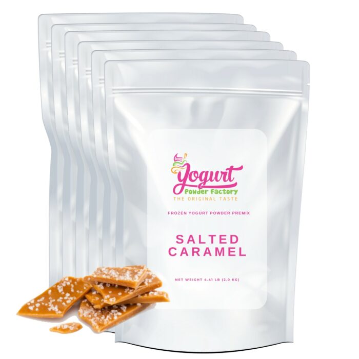 Salted Caramel Frozen Yogurt Pre Mix One Box (12kg/26.45lb)