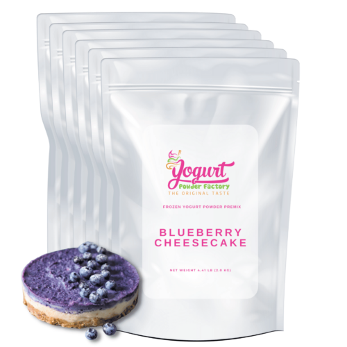 blueberry cheesecake frozen yogurt powder mix box